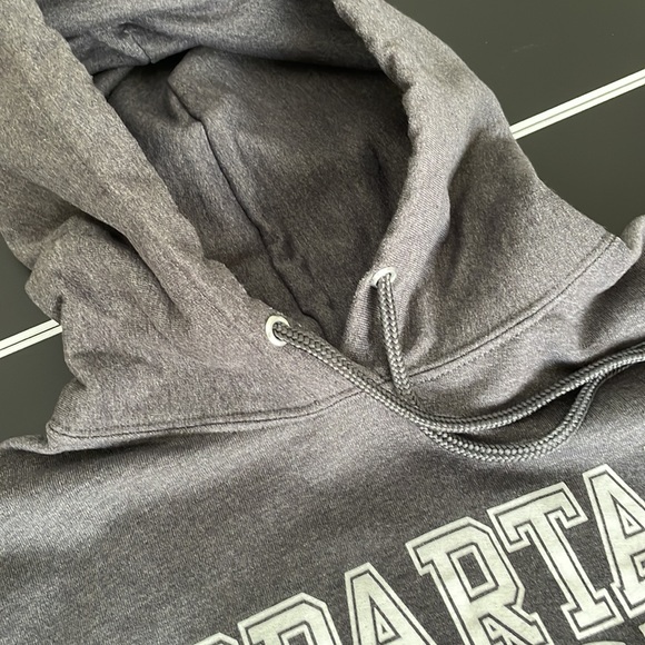 Grey Spartan Hoodie | Grey Spartan Strong Hoodie - Picture 5 of 8